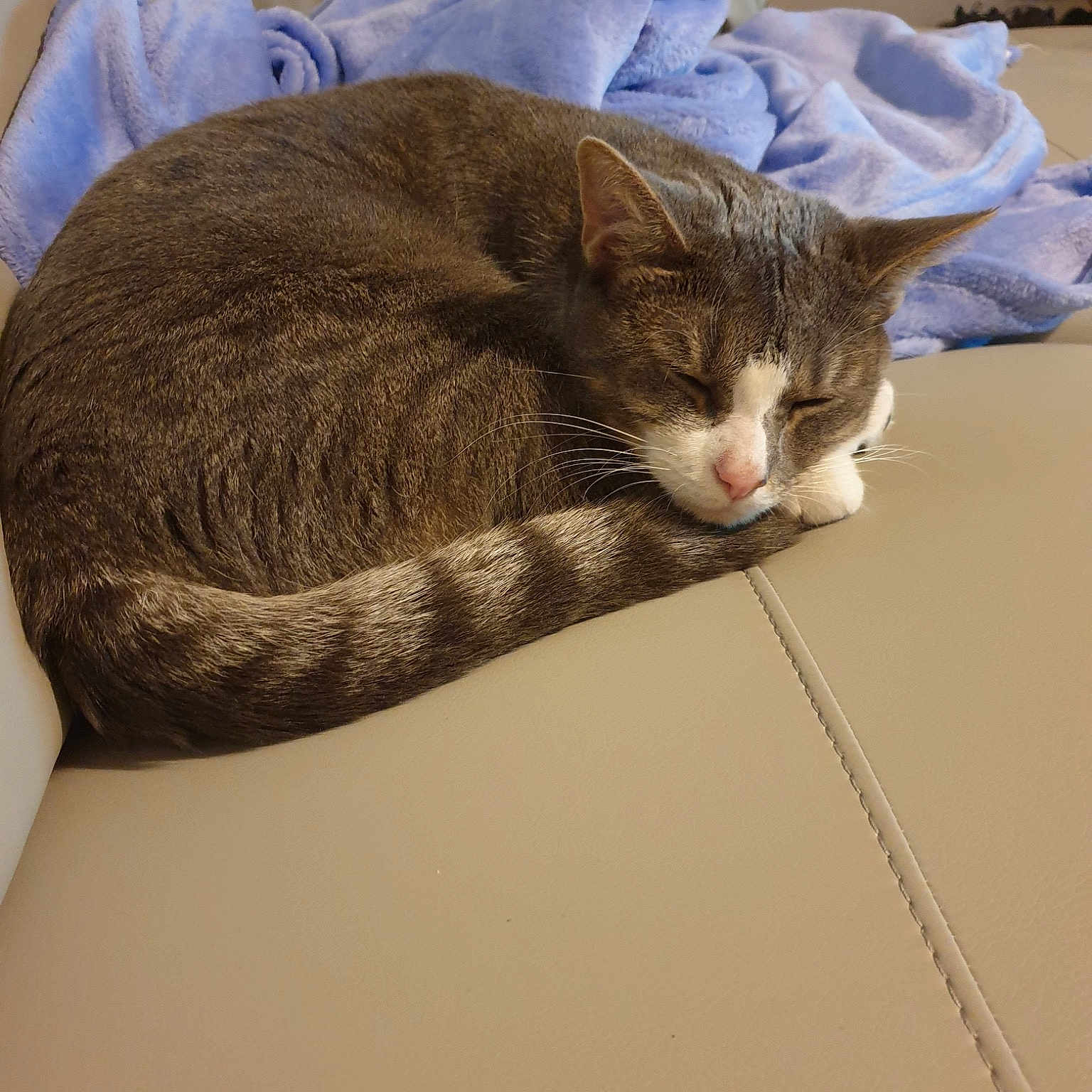 Obelix