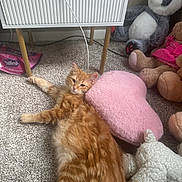 Fernando joined the competition — help win amazing prizes! ginger_cat, cat, kitten, plush_toy, panda, heart_pillow, pink_pillow, carpet, stuffed_animal, cozy, pet, fur, toys, cabinet, cable, indoor, lying_down, relaxed, bedroom_corner, soft_texture