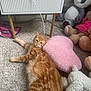 ginger_cat, cat, kitten, plush_toy, panda, heart_pillow, pink_pillow, carpet, stuffed_animal, cozy, pet, fur, toys, cabinet, cable, indoor, lying_down, relaxed, bedroom_corner, soft_texture