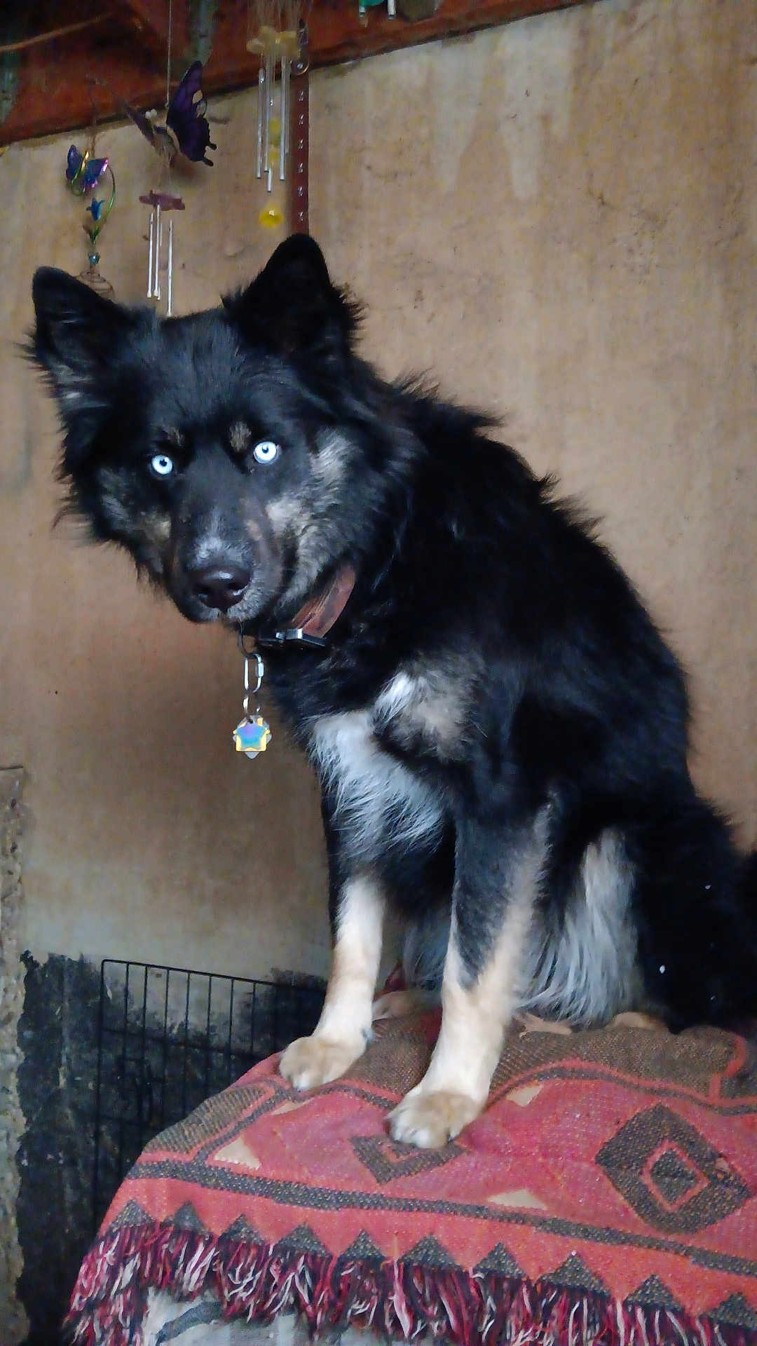 Ragnar