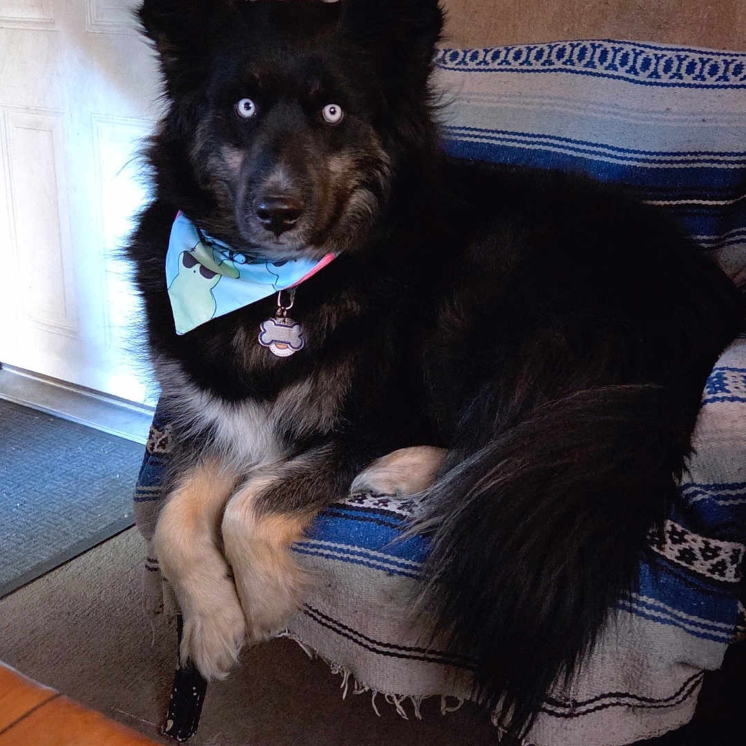 Ragnar