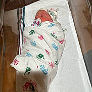 Arizona joined the competition — help win amazing prizes! newborn, baby, swaddled, blanket, pacifier, hospital, bassinet, sleeping, infant, hat, mickey_mouse, handprint_pattern, bed, towel, person, cute, rest, indoors, healthcare, child