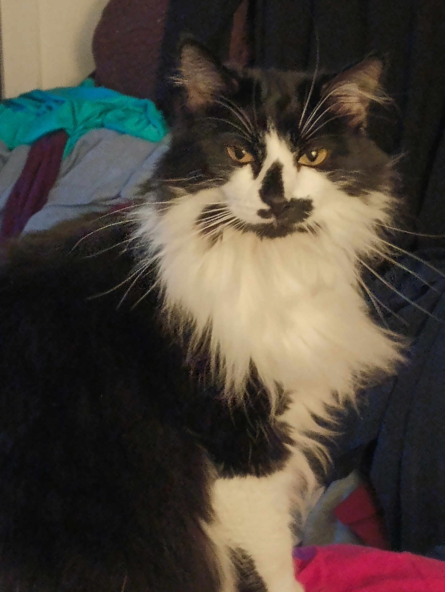 Patches