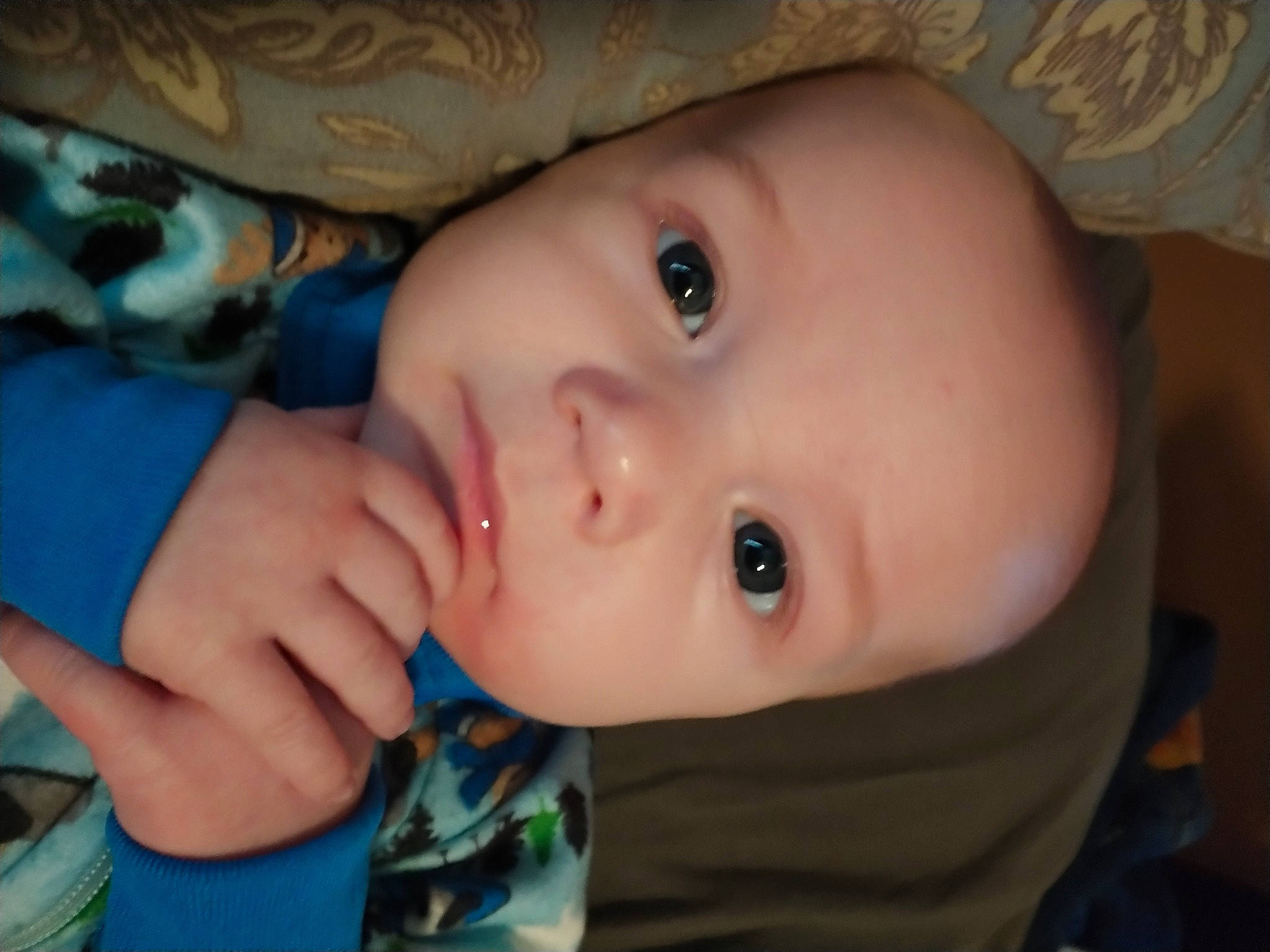 Dakota is registered to the contest to win money with this photo: baby, baby_toddler_clothing, cheek, chin, ear, eyebrow, eyelash, forehead, gesture, grass, happy, human_body, iris, lip, mouth, nose, person, skin, toddler, tree