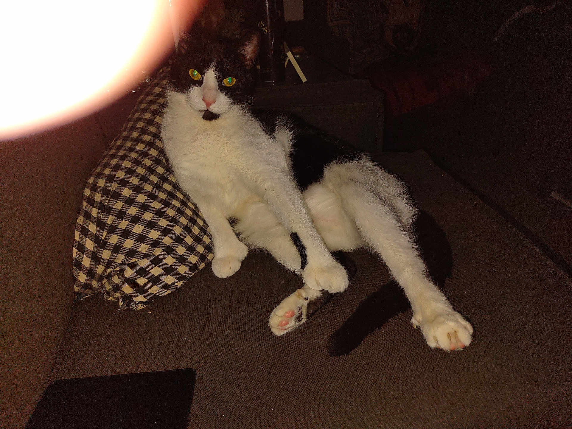 Winston