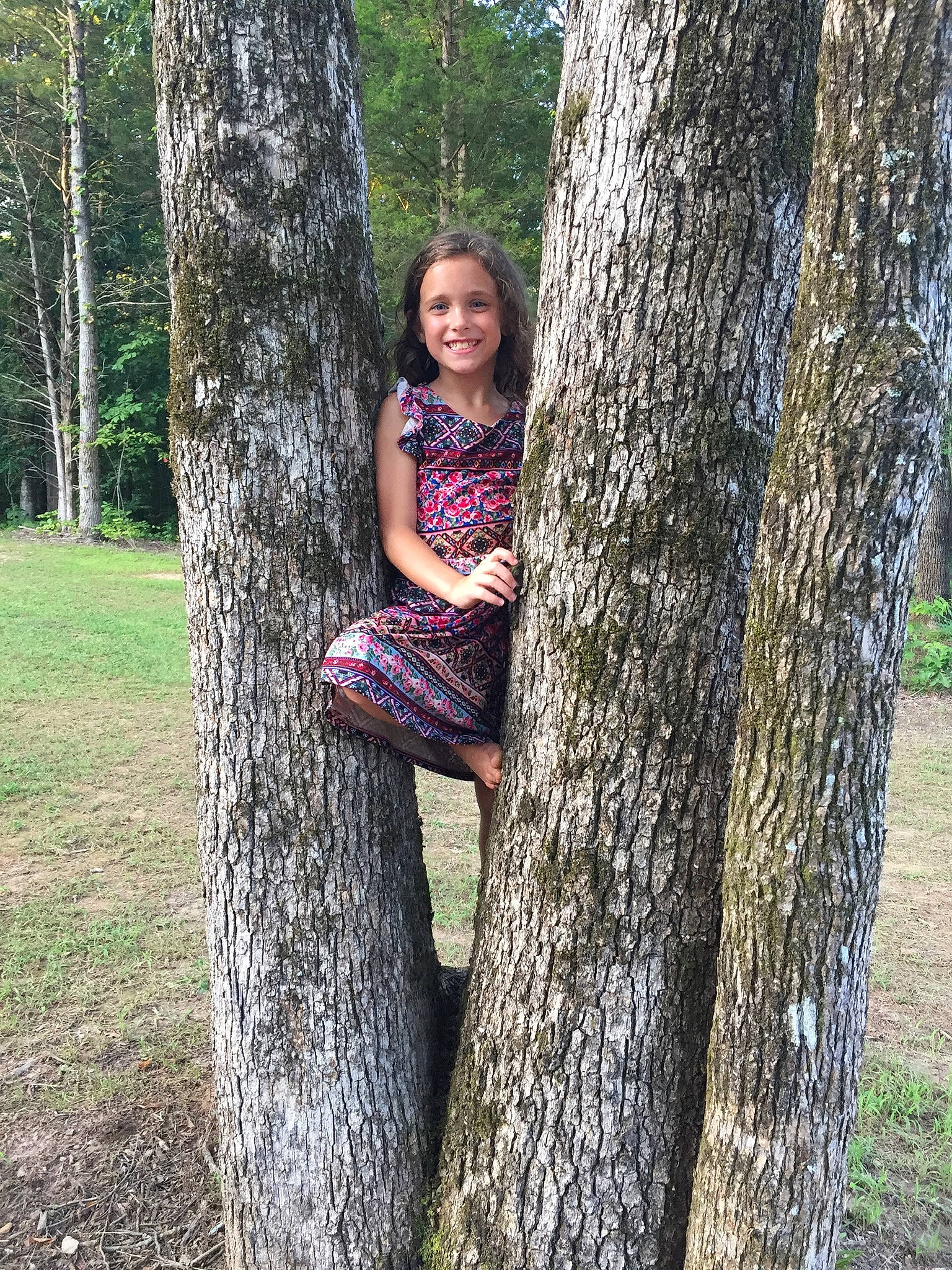 Averi joined the competition — help win amazing prizes! botany, fun, grove, joy, long_hair, person, plant, shellbark_hickory, sitting, smile, tree, trunk, wood, woody_plant