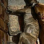 Puppy Or Pepsi is registered to the contest to win money with this photo: dog, dogs, indoor, carpet, rug, wooden_cabinet, brown_dog, brindle_dog, resting, closeup, floor, furniture, pet, animal, canine, two_dogs, relaxed, home, affection, companion
