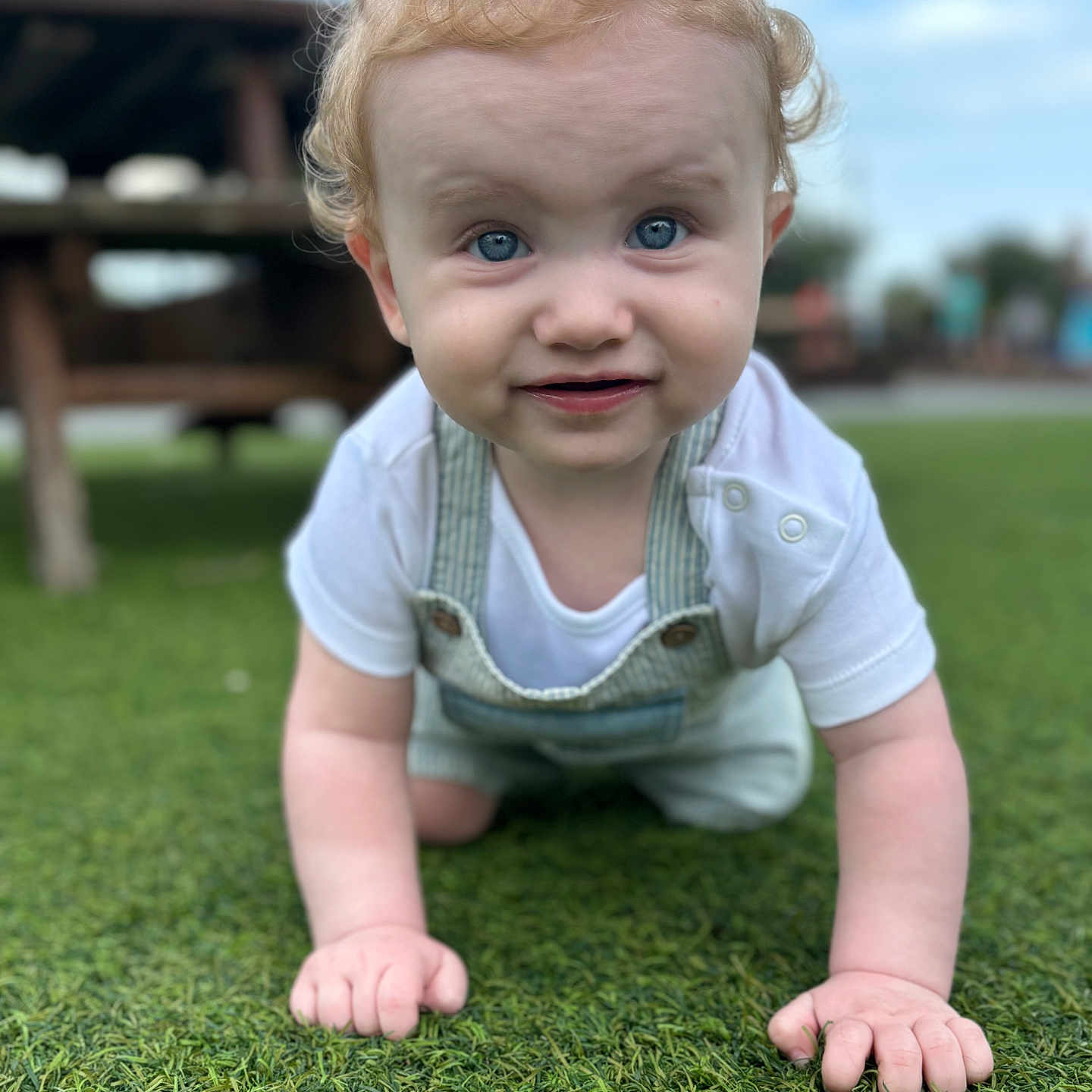 Jaxon-Joseph joined the competition — help win amazing prizes! baby, blonde_hair, blue_eyes, child, crawling, curly_hair, cute, daylight, expression, face, grass, hands, infant, nature, outdoor, overalls, playful, portrait, white_shirt, young_child