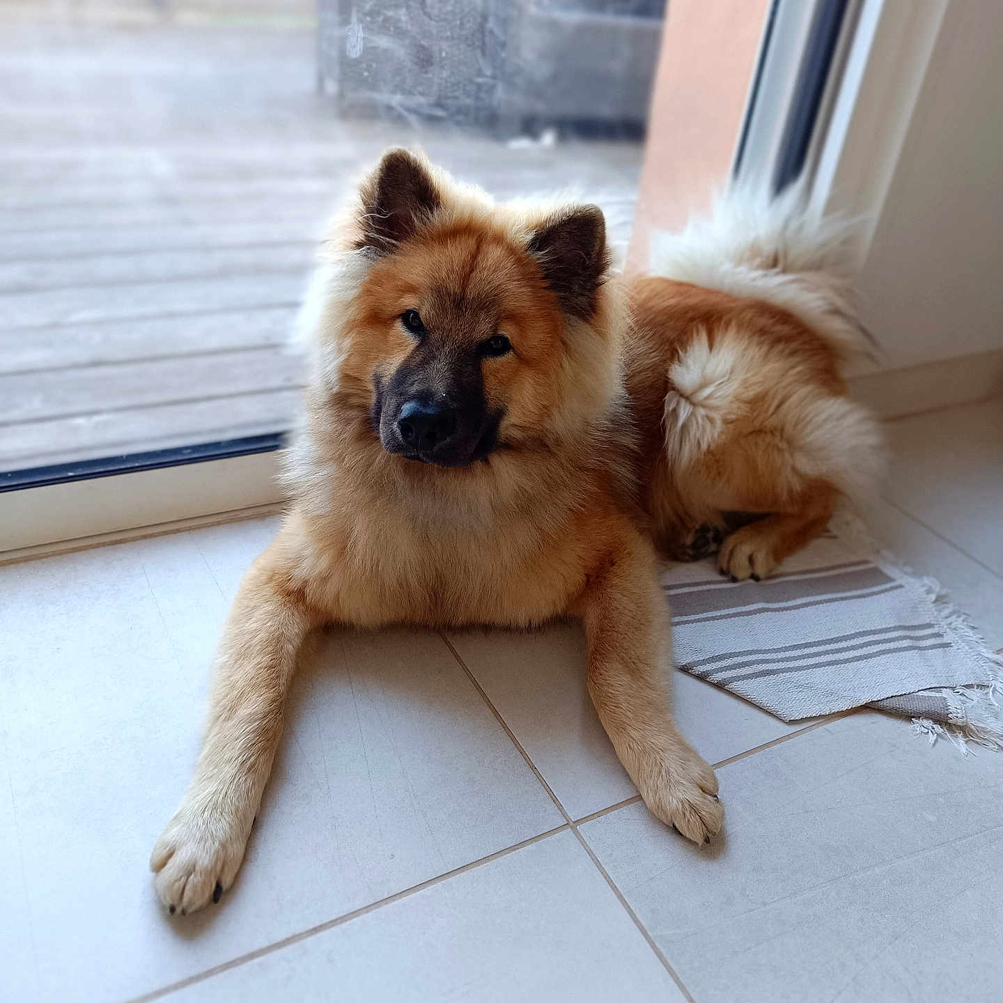 Bao
