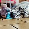 animal, black_and_white, companion, cozy, cute, dog, floor, home, indoor, peaceful, pet, relaxed, resting, sleeping, snuggle, soft_toy, spotted, stuffed_toy, tile_floor, toy