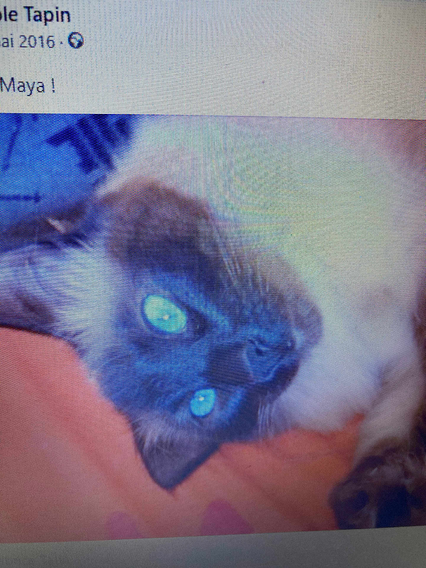 Maya