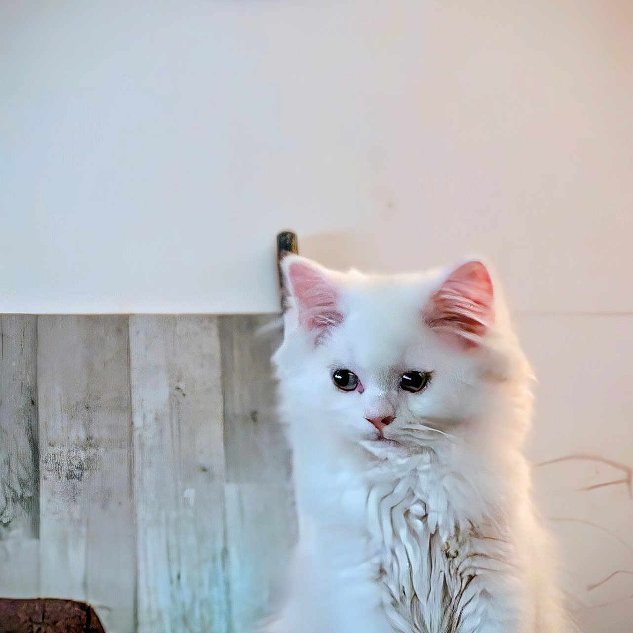 Syla
