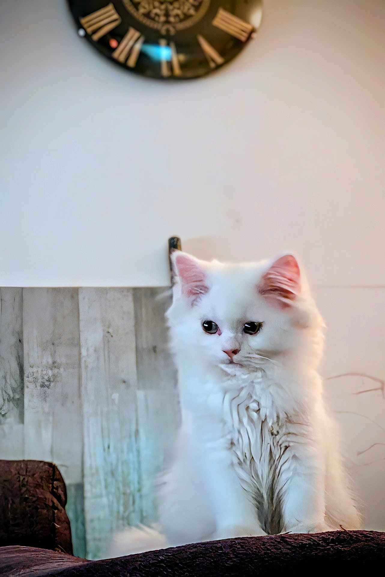 Syla