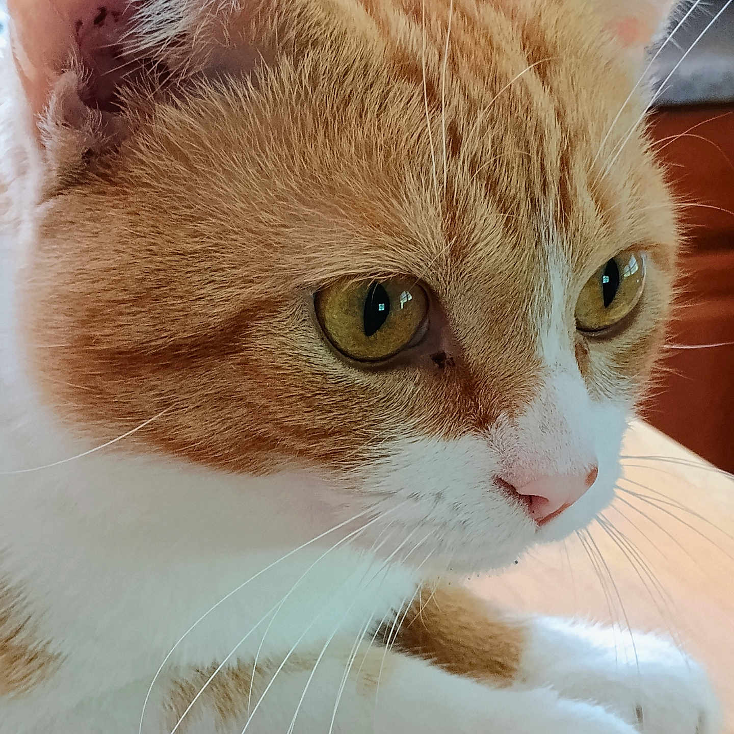 Butterball