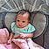 Harper
