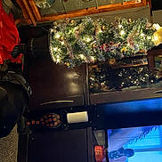 Peecee joined the competition — help win amazing prizes! automotive_exterior, automotive_lighting, automotive_window_part, carmine, christmas_decoration, christmas_ornament, christmas_tree, electric_blue, event, glass, holiday, luggage_and_bags, machine, ornament, room, tints_and_shades, tree, vehicle_door, window, windshield