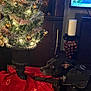 black_dog, black_harness, candle, candle_holder, christmas_tree, decor, decorations, dog, festive, furniture, holiday, indoor, lights, living_room, ornaments, pet, red_tree_skirt, relaxing, television, winter_scene