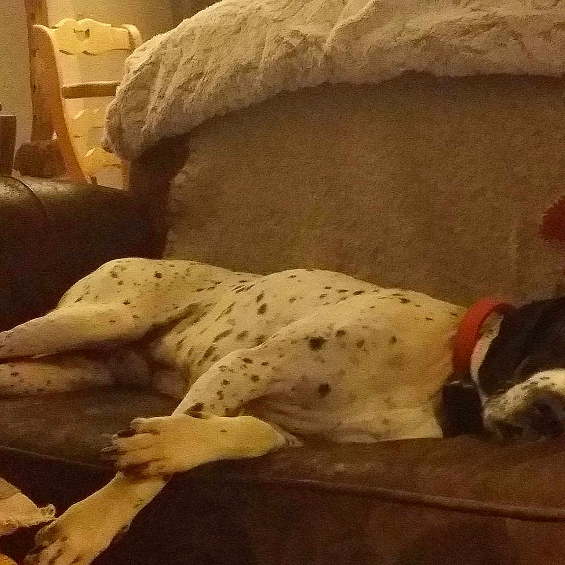 El Diablo Des Sources Sacrées