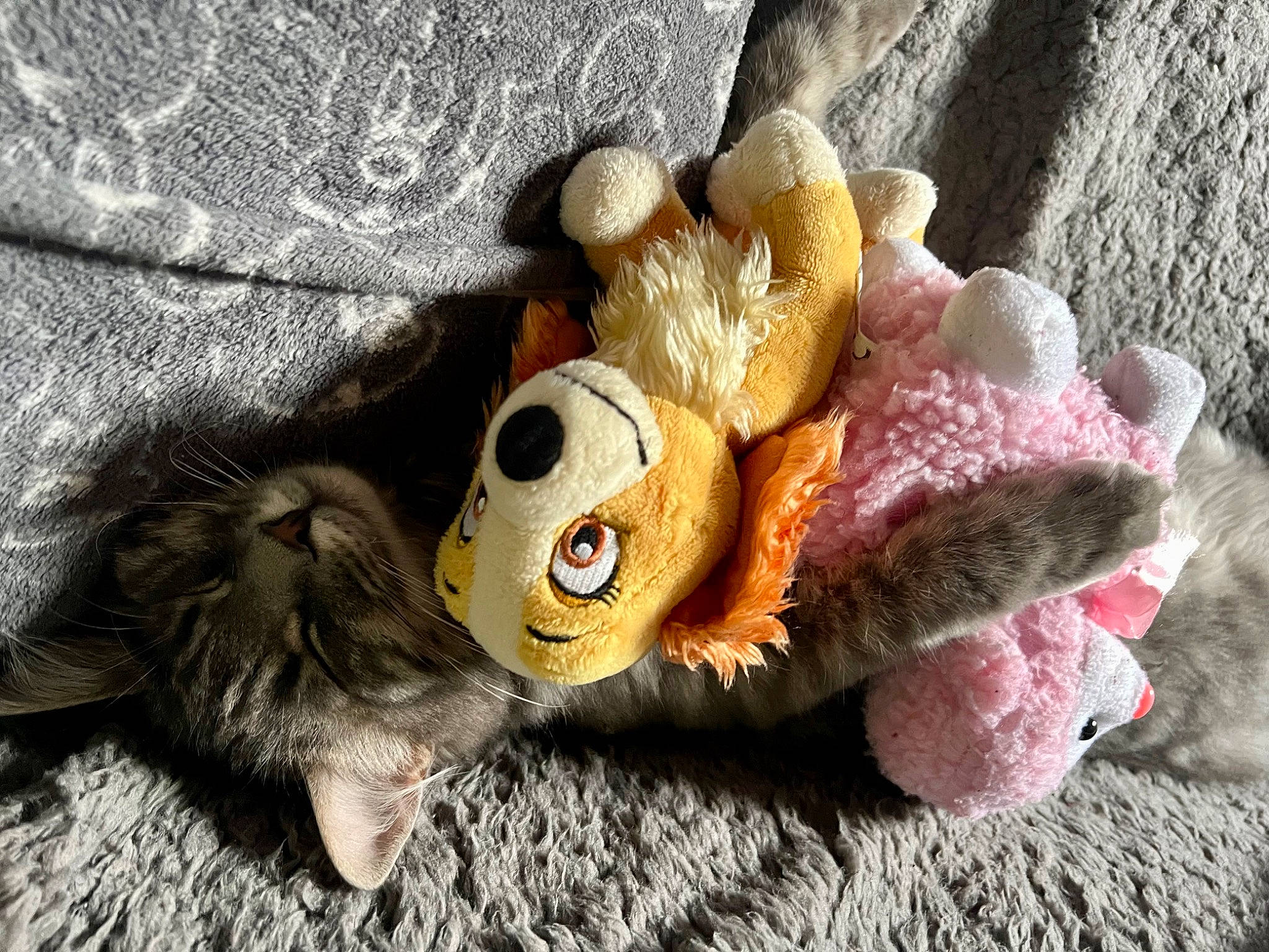 Grizou participe au concours pour gagner de l'argent avec cette photo : art, baby_toys, craft, fashion_accessory, fawn, fur, linens, natural_material, peach, plush, primate, stuffed_toy, textile, thread, toy, wood, wool, woolen