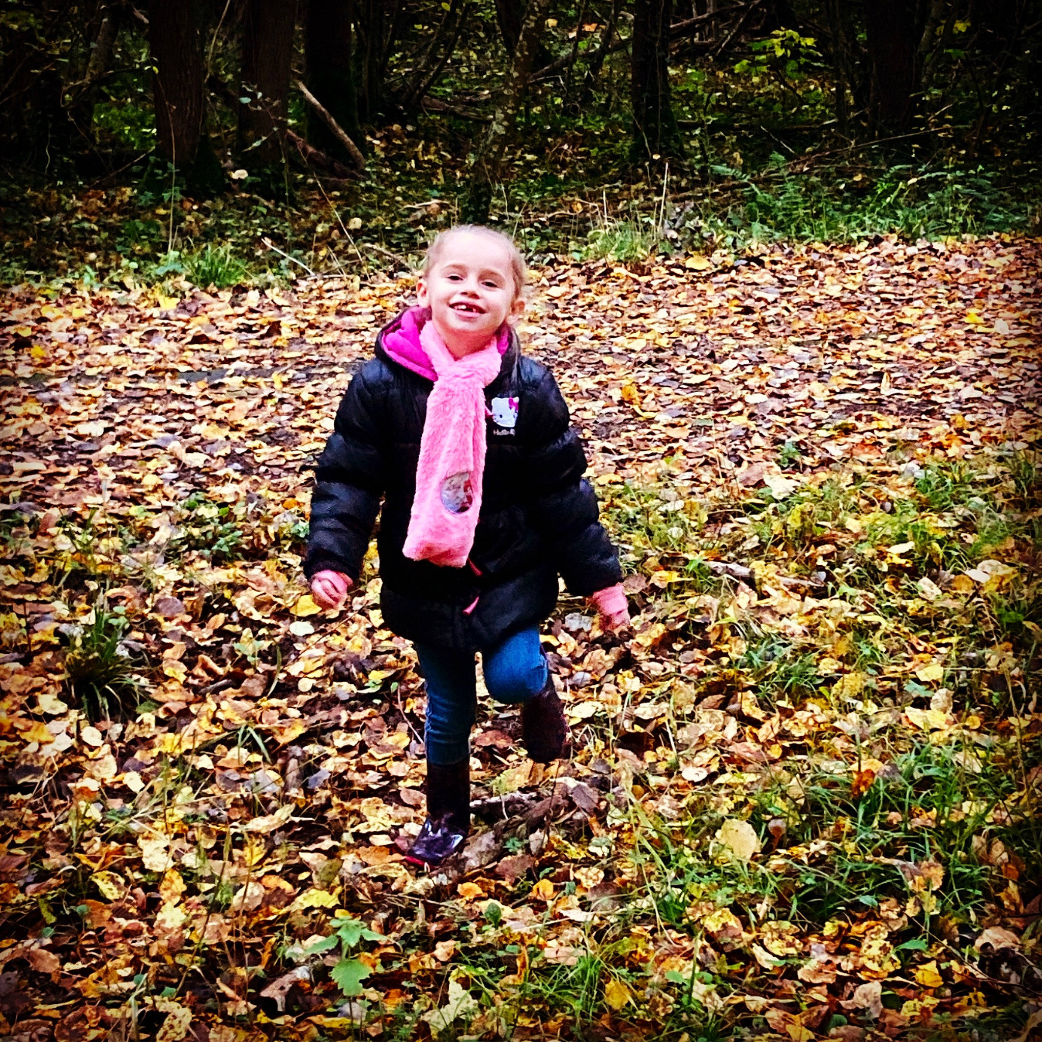 Elya a rejoint le concours — aidez-le/la à gagner de superbes lots ! autumn, deciduous, forest, grass, happy, jacket, joy, leaf, leisure, natural_landscape, people_in_nature, person, plant, recreation, smile, soil, tints_and_shades, toddler, tree, walking