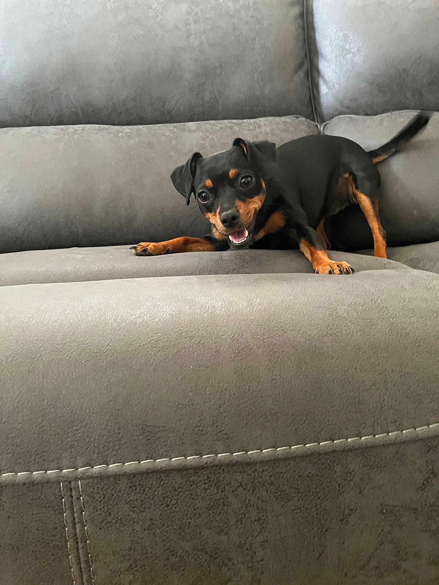 Lola