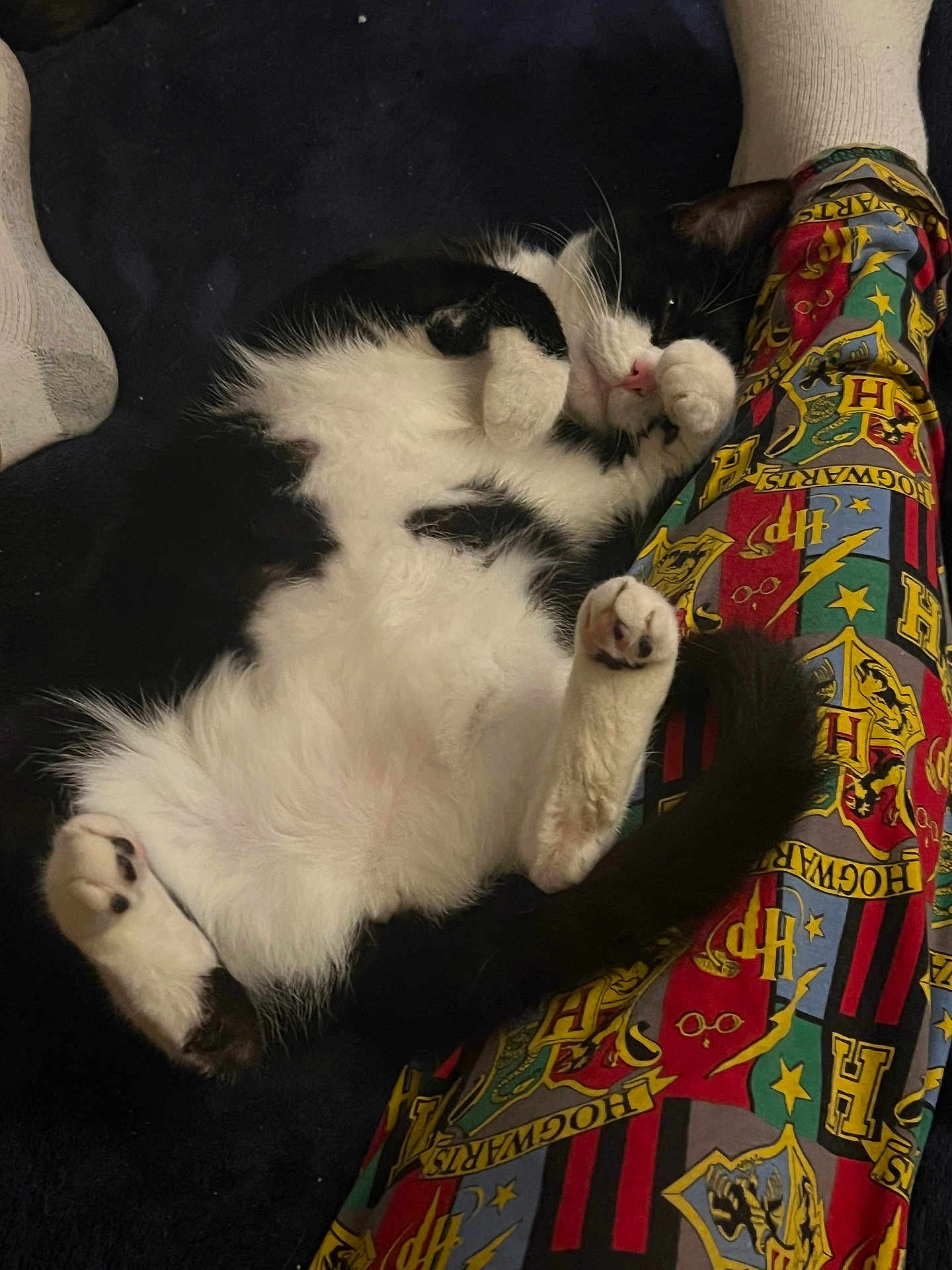 Oreo