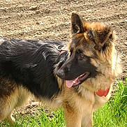 GANDJA participe au concours pour gagner de l'argent avec cette photo :