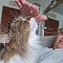 Coco is registered to the contest to win money with this photo: affection, blurred_background, cat, closeup, companion, couch, feline, fluffy, fur, glasses, green_eyes, human_hand, indoor, mirror, person, pet, portrait, relaxing, soft_light, whiskers