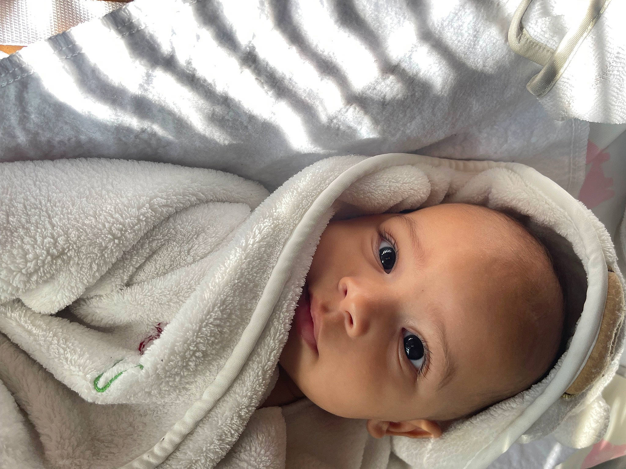 Aydan joined the competition — help win amazing prizes! baby, baby_products, cheek, child, comfort, eyebrow, eyelash, fur, headgear, iris, linens, lip, nose, person, portrait_photography, room, skin, toddler, tree, window