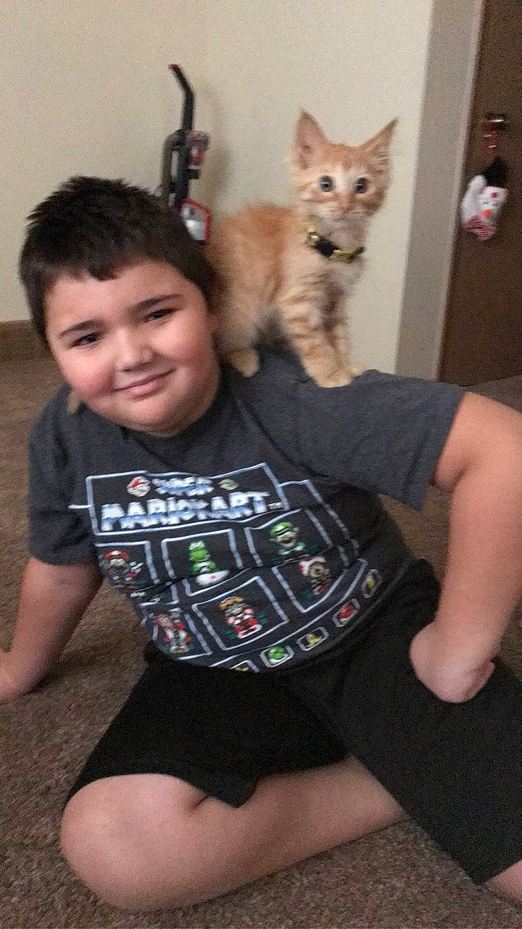 Angelo joined the competition — help win amazing prizes! carnivore, cat, fawn, felidae, flooring, fun, happy, iris, joint, joy, lap, leg, mammal, person, shoulder, sitting, small_to_medium_sized_cats, smile, standing, thigh