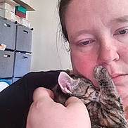 Mystic joined the competition — help win amazing prizes! person, cat, kitten, tabby, indoor, holding, face, paw, closeup, affection, cuddle, human_hand, expression, comfort, love, pet, animal, skin, hair, storage_boxes