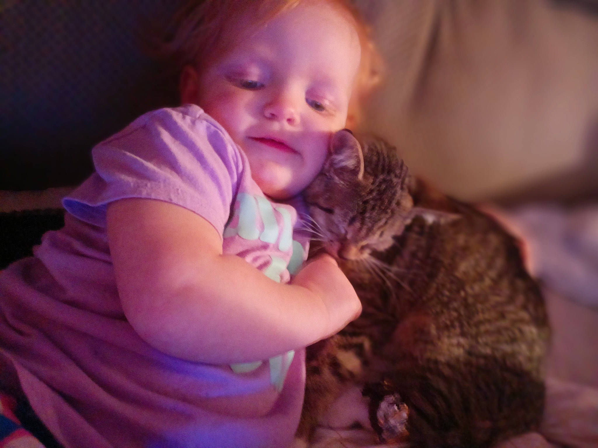 Faye is registered to the contest to win money with this photo: baby, baby_toddler_clothing, brown_hair, cat, child, comfort, companion_dog, domestic_short_haired_cat, ear, fawn, felidae, fur, gesture, happy, iris, person, purple, skin, small_to_medium_sized_cats, toddler