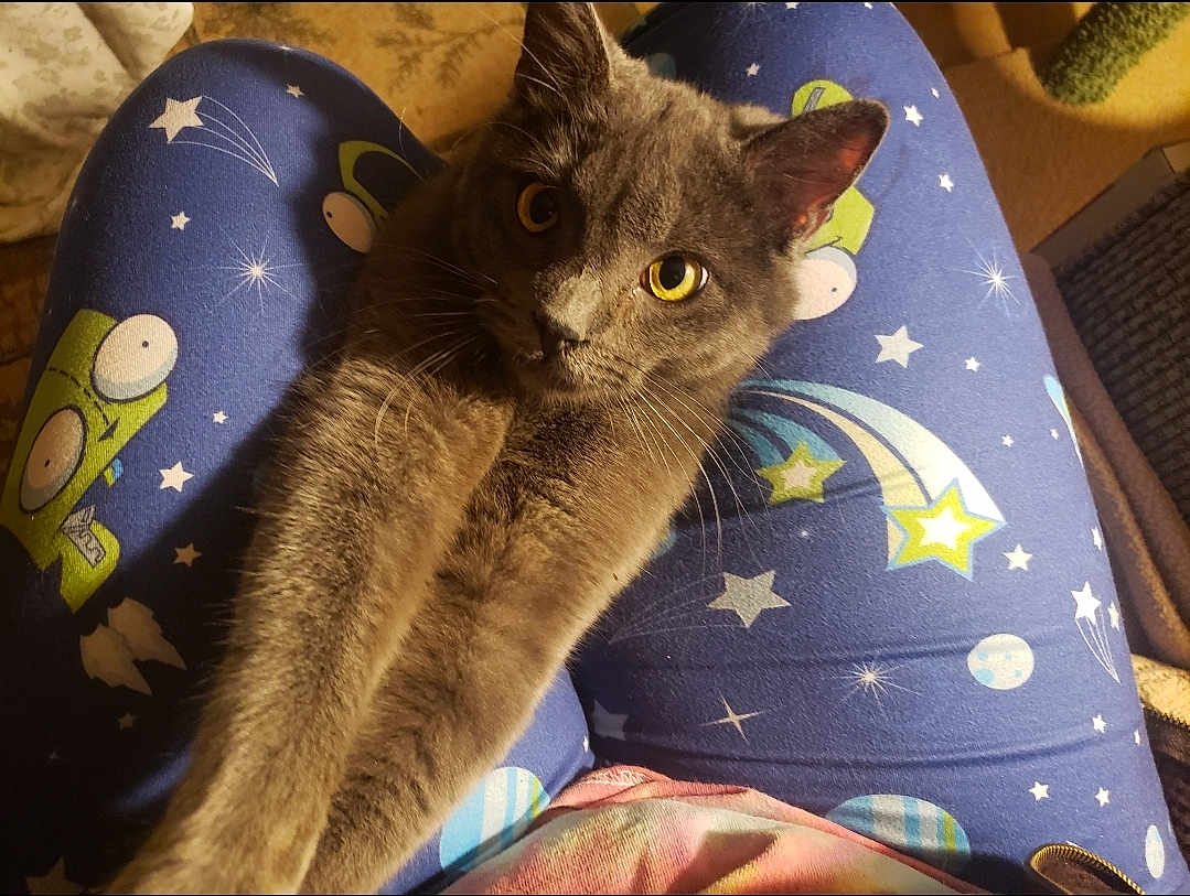 Boris