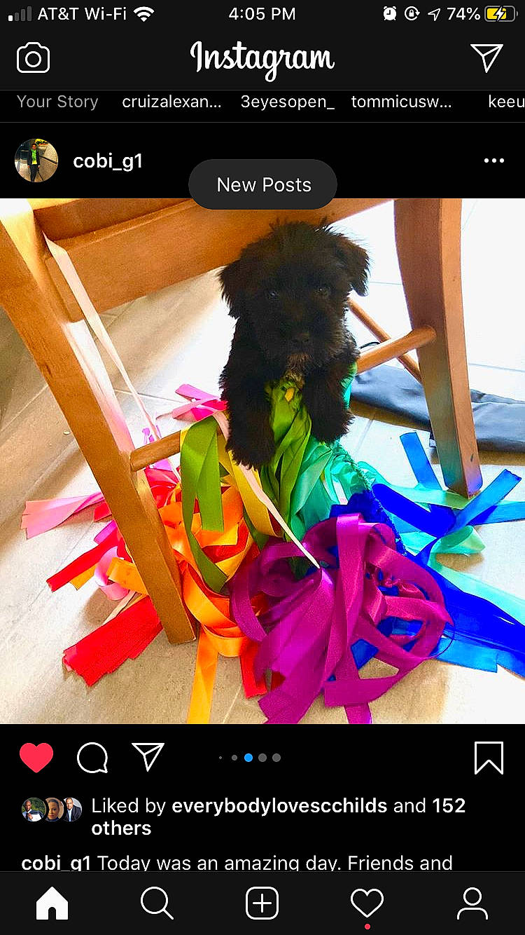 Nibbles is registered to the contest to win money with this photo: fun, graphic_design, photography, screenshot