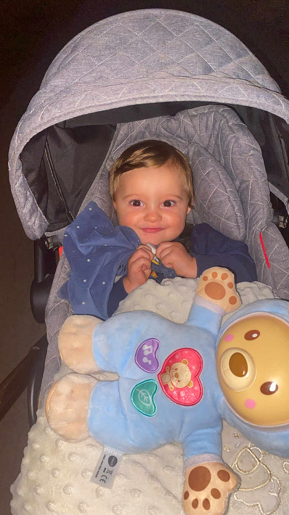 Manuel a rejoint le concours — aidez-le/la à gagner de superbes lots ! toddler, child, stroller, blanket, plush_toy, blue_clothing, smile, face, baby, cute, indoor, comfort, happy, toy, fabric, head, seat, person, cozy, infant