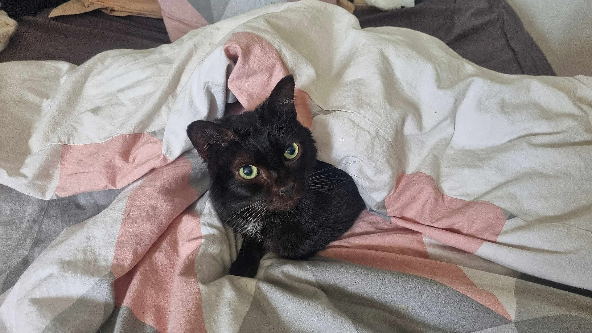 Salem