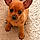 Lola
