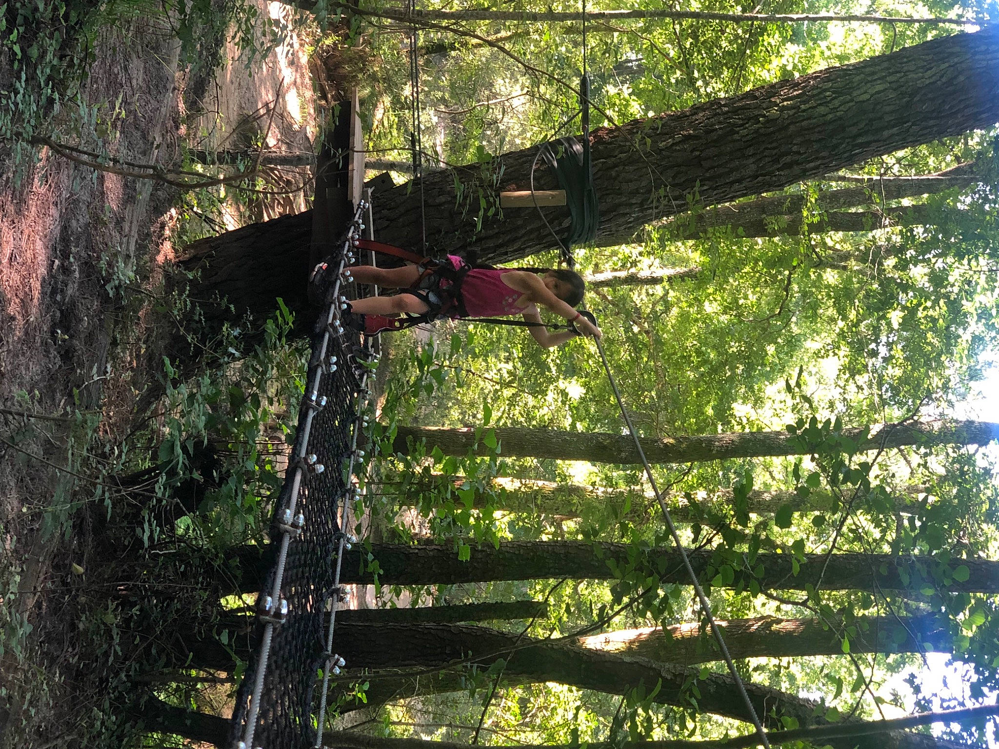 Cassandra participe au concours pour gagner de l'argent avec cette photo : biome, branch, forest, grass, grove, jungle, natural_environment, natural_landscape, people_in_nature, person, plant, shade, temperate_broadleaf_and_mixed_forest, terrestrial_plant, tints_and_shades, tree, trunk, twig, vegetation, wood