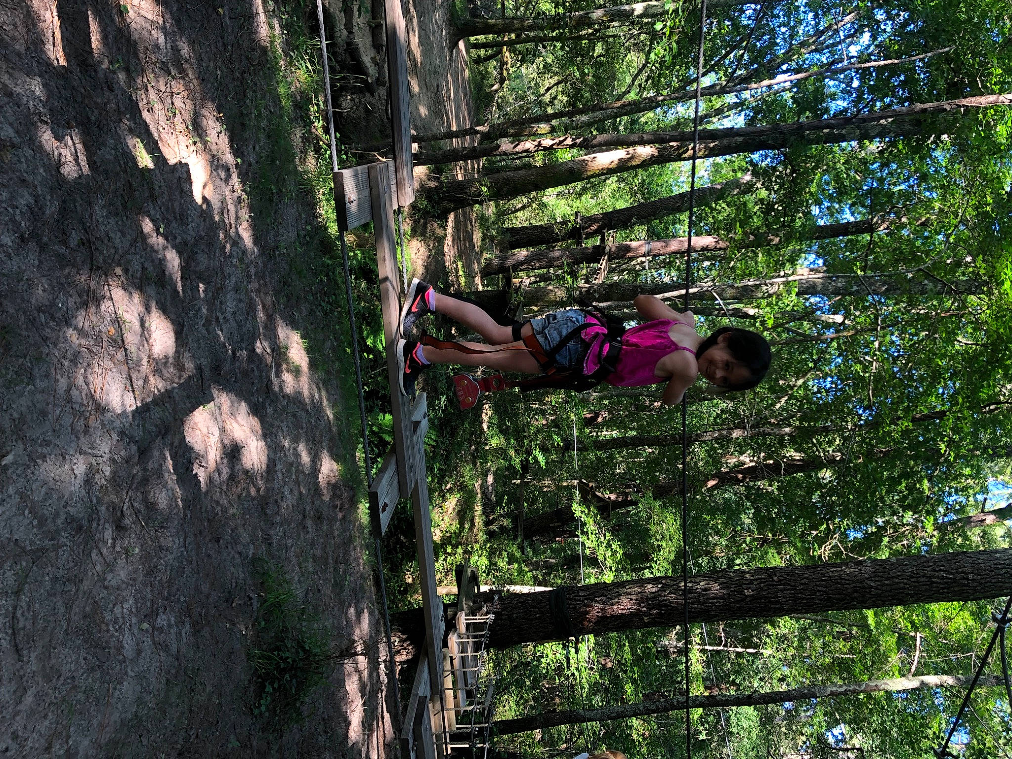 Cassandra a rejoint le concours — aidez-le/la à gagner de superbes lots ! adventure, branch, climbing_harness, forest, fun, grass, joy, jungle, leisure, people_in_nature, person, plant, recreation, rope, terrestrial_plant, tree, trunk, valdivian_temperate_rain_forest, vegetation, wood