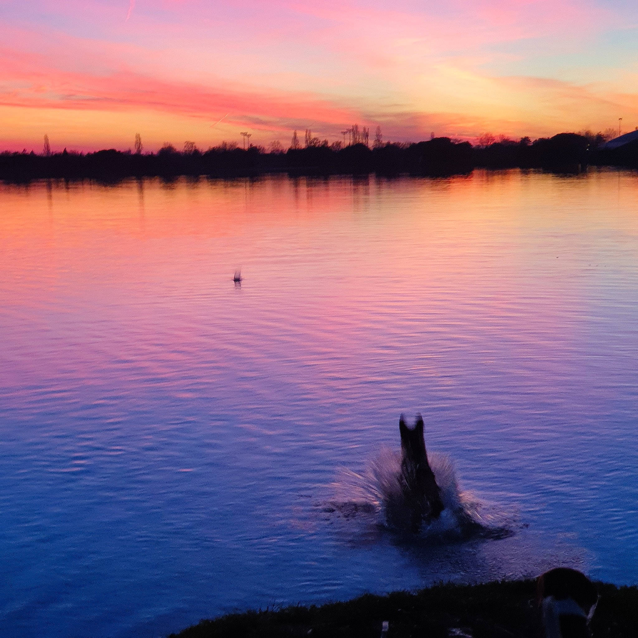 Opium participe au concours pour gagner de l'argent avec cette photo : afterglow, bank, body_of_water, calm, dusk, evening, horizon, lake, loch, morning, natural_landscape, nature, reflection, reservoir, river, sky, sunrise, sunset, water, water_resources