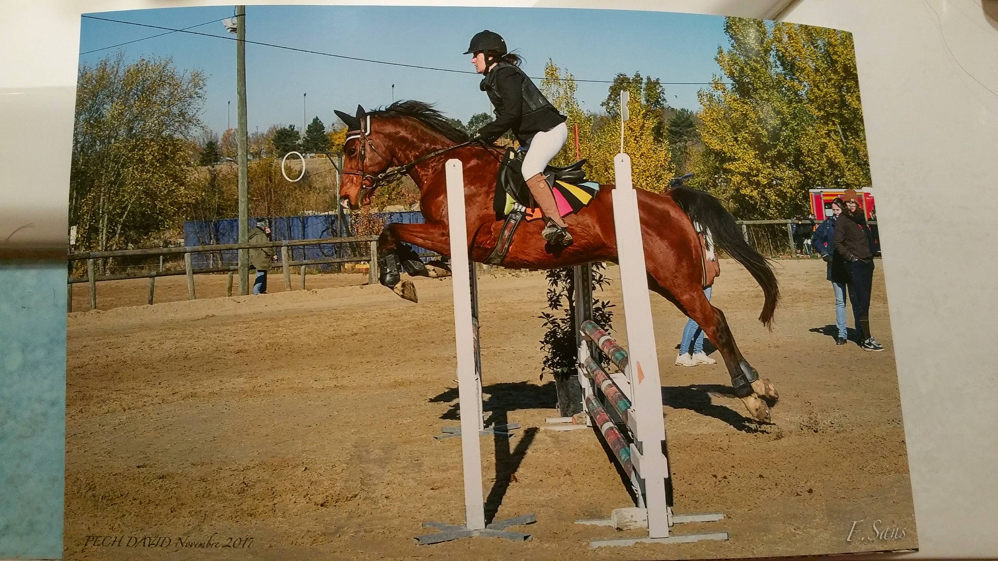 Natel participe au concours pour gagner de l'argent avec cette photo : animal_sports, bridle, english_riding, equestrian, equestrianism, equitation, eventing, halter, horse, horse_supplies, horse_tack, hunt_seat, jumping, mammal, outdoor_recreation, recreation, rein, saddle, show_jumping