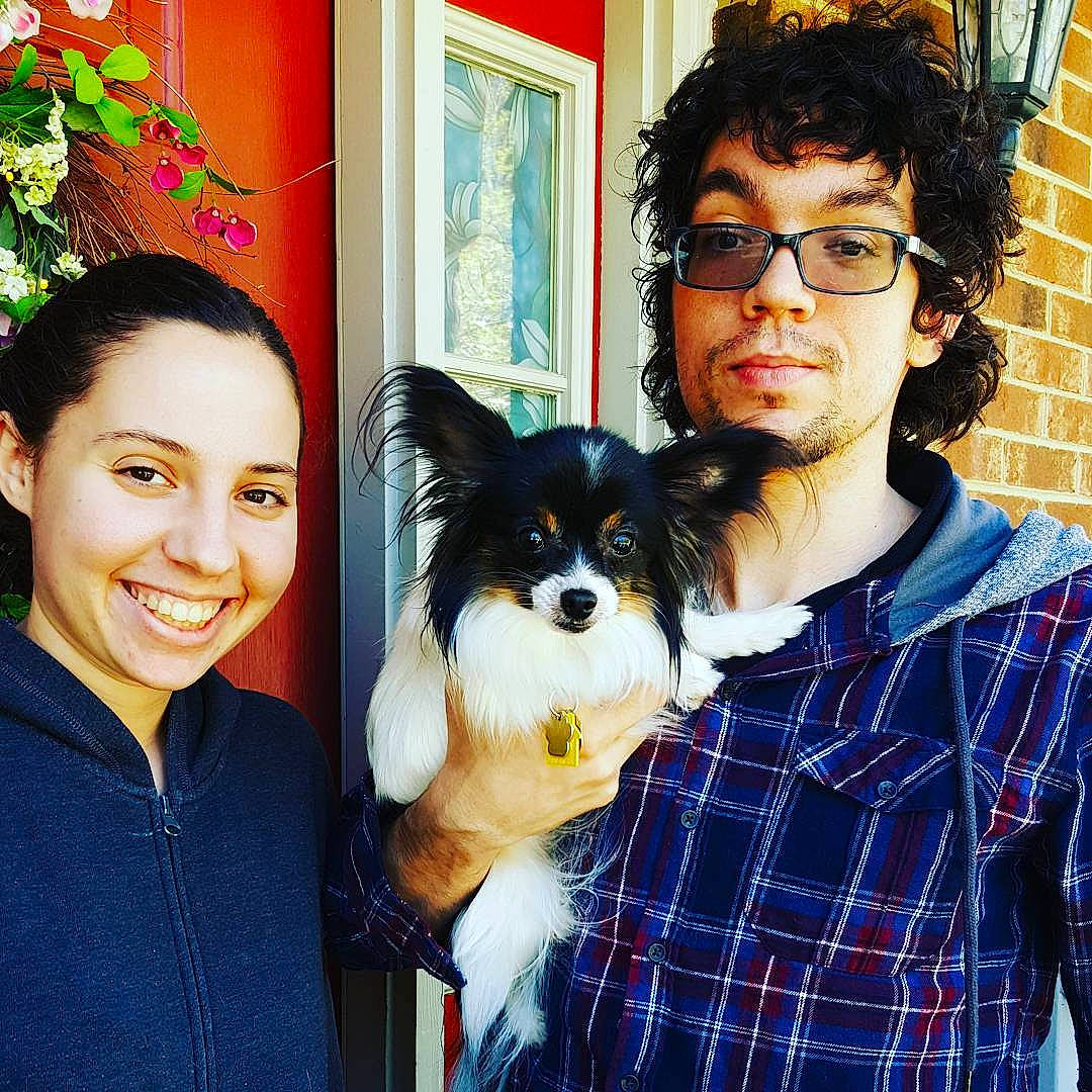 Xerxes joined the competition — help win amazing prizes! black_hair, canidae, carnivore, companion_dog, design, dog, dog_breed, ear, glasses, happy, iris, love, papillon, pattern, plaid, puppy, puppy_love, smile, toy_dog