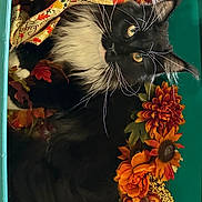 Xander is registered to the contest to win money with this photo: artificial_flowers, autumn_colors, black_and_white_fur, cat, close_up, cozy, curious, fall_decor, flowers, fluffy, indoor, longhair_cat, pet, portrait, ribbon, storage_bin, teal_container, tuxedo_cat, whiskers, yellow_eyes