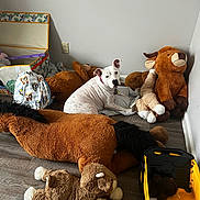 Giggles joined the competition — help win amazing prizes! animal, blanket, collar, corner, dog, electrical_outlet, floor, indoor, pet, pink_collar, plush_toys, stuffed_animals, toy_bear, toy_bull, toy_horse, toy_lamb, toy_truck, wall, white_dog, wood_floor