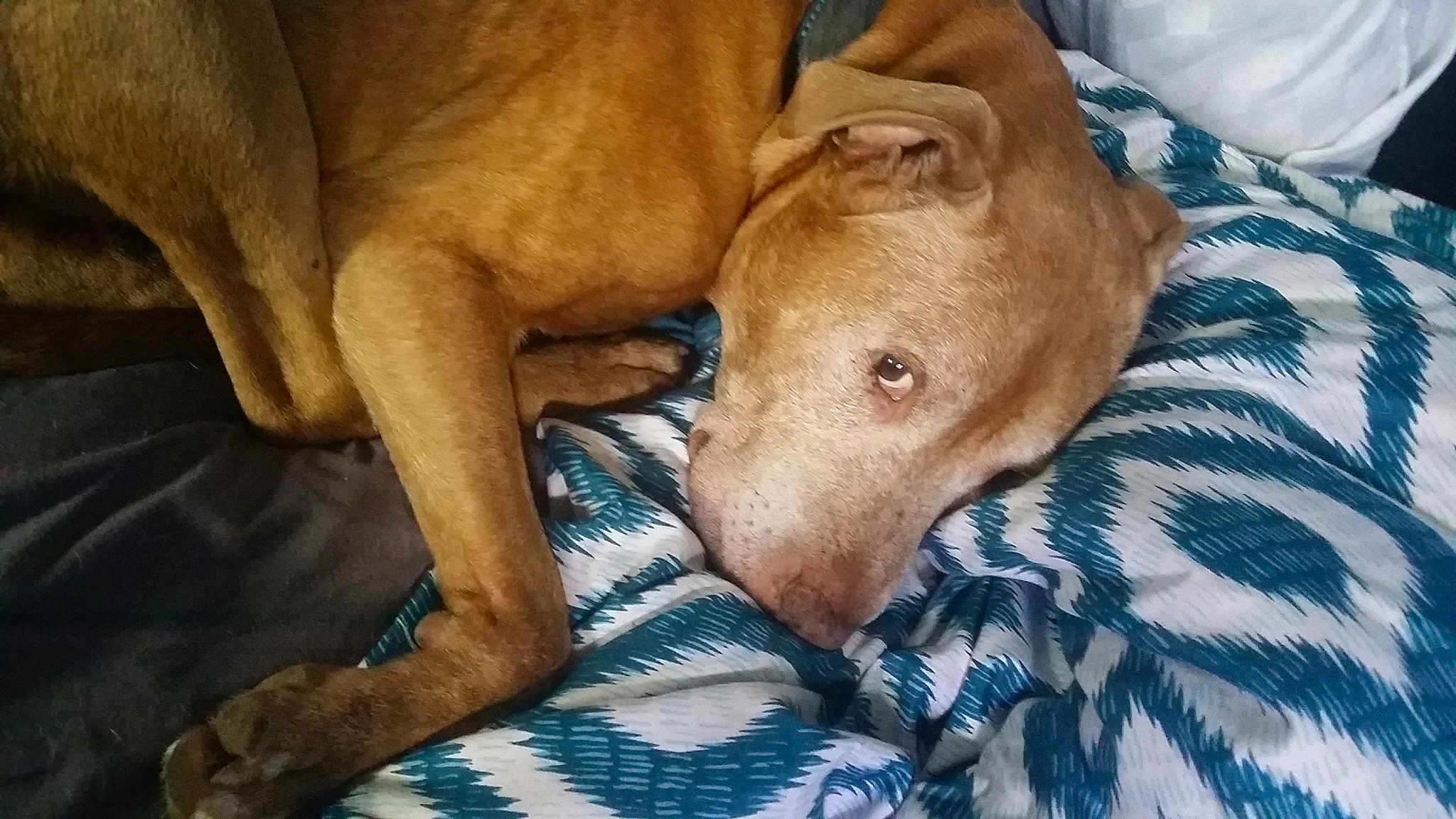 Tyson