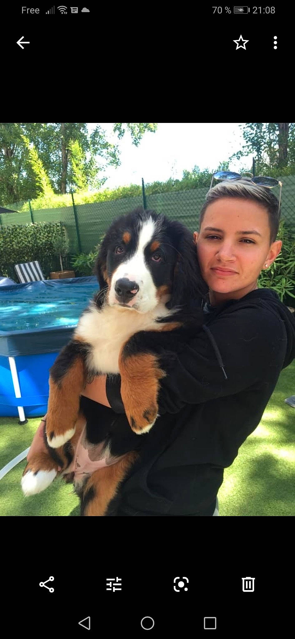 Prisca a rejoint le concours — aidez-le/la à gagner de superbes lots ! appenzeller_sennenhund, bernese_mountain_dog, canidae, carnivore, companion_dog, dog, dog_breed, english_shepherd, entlebucher_mountain_dog, greater_swiss_mountain_dog, mammal, sporting_group, vertebrate, working_dog