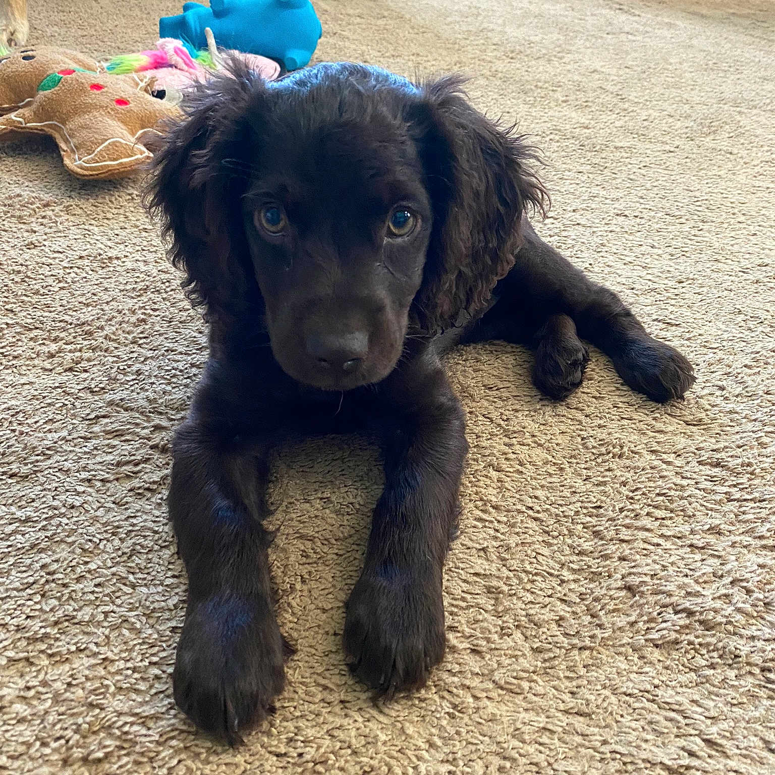 Mack