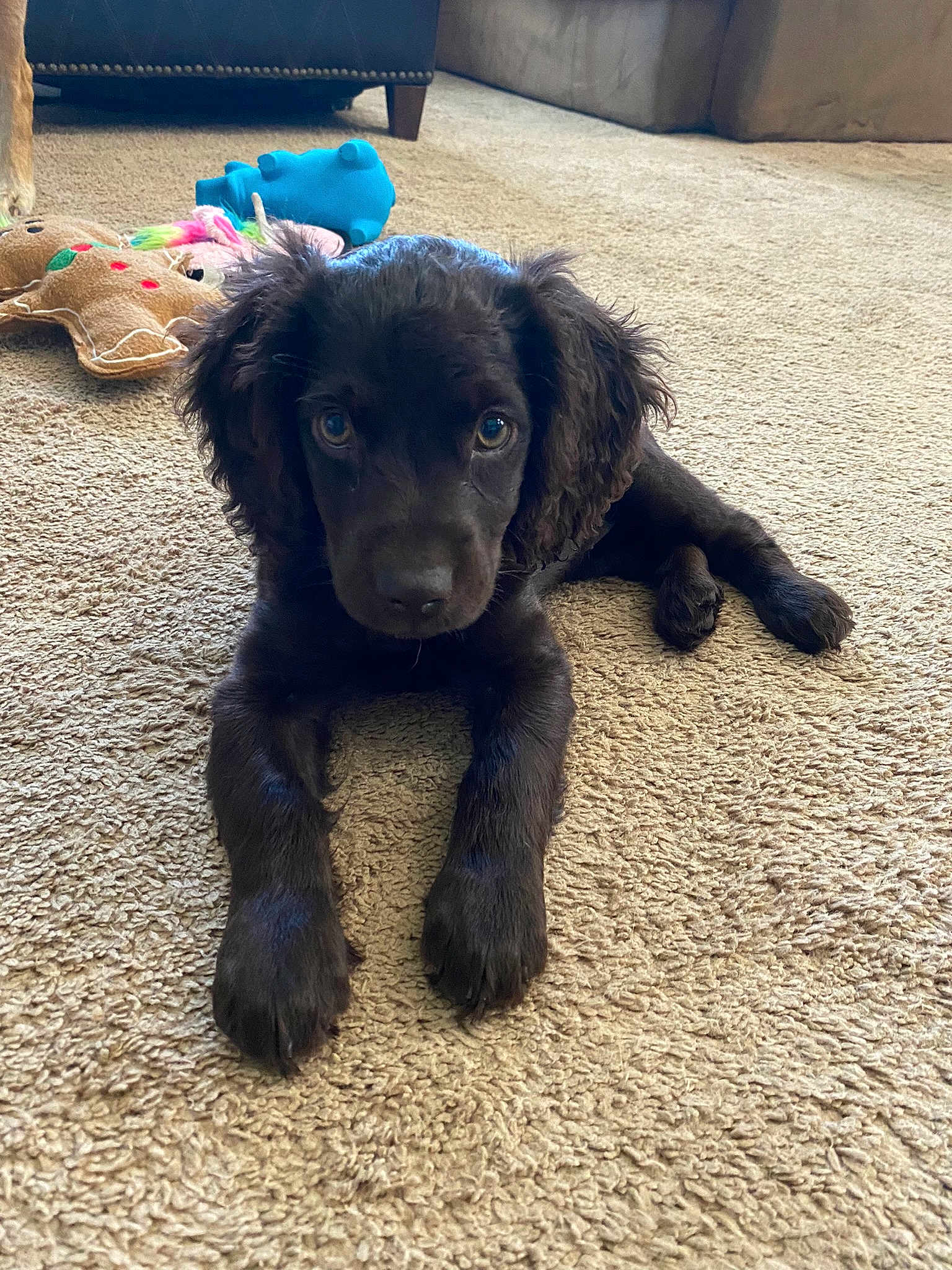Mack
