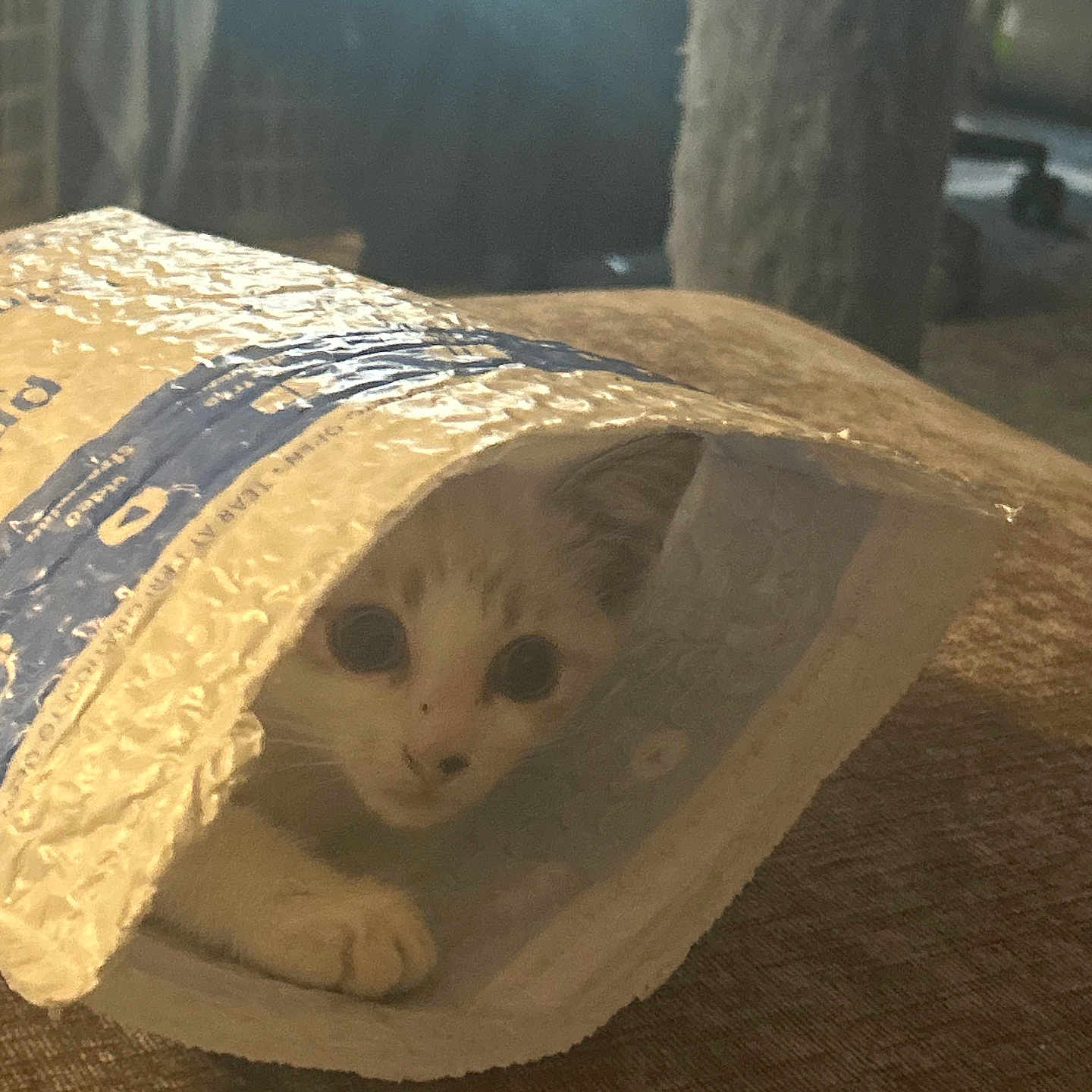 Snowball