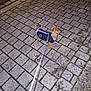 Abby a rejoint le concours — aidez-le/la à gagner de superbes lots ! dog, small_dog, leash, jacket, cobblestone, pavement, night, outdoor, pet, walking, animal, canine, side_view, curious, street, cold_weather, urban, path, brown_dog, leash_handle